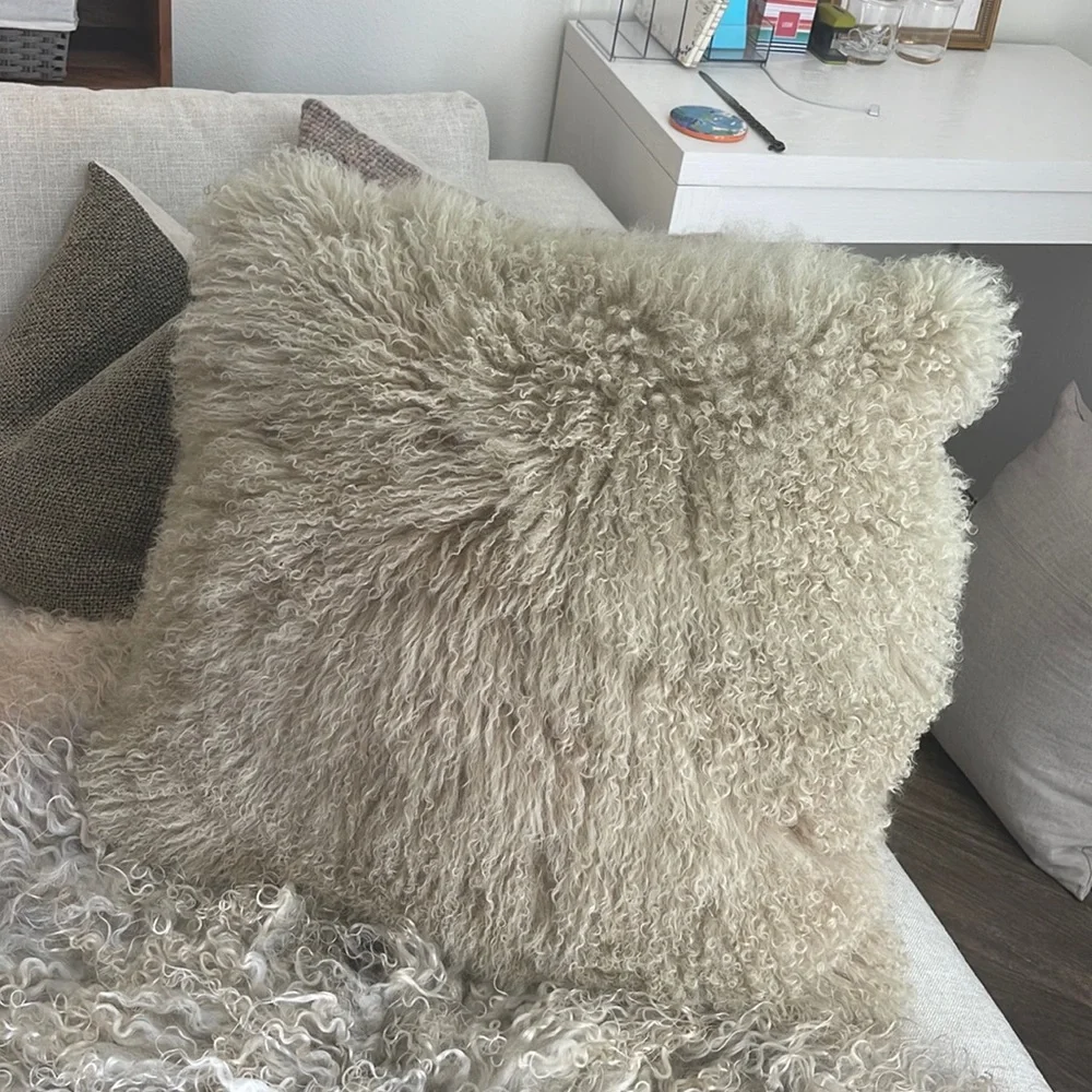 West Elm Throw Pillow